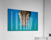 leopard in the ocean Acrylic Print