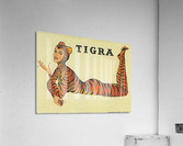 De Moore Tigra Advertising Poster  Acrylic Print