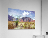 Borrego Acrylic Print