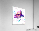 Purple Pink Pretty Fish Acrylic Print