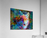 Color Wolf Acrylic Print