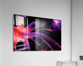 778 Acrylic Print