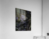 20220216  DSC9762 Edit 20x16 large 8bit Acrylic Print