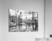Kayaking Into the Swamp - Eastern North Carolina Acrylic Print