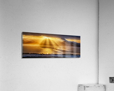 Homer Spit Acrylic Print