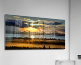 Sunrays and Trees Acrylic Print
