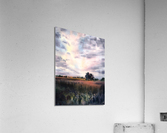 Field and clouds 2  Acrylic Print