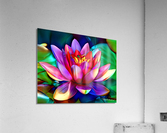 Lotus Love Acrylic Print