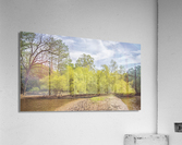 Spring Along the Neuse River - Wayne County North Carolina Acrylic Print