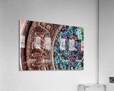 Toonie  Acrylic Print