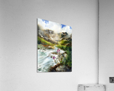 Mountain Creek Acrylic Print