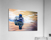 Wood Duck  Acrylic Print