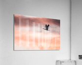 Sandhill Crane Silhouette At Sunrise Acrylic Print