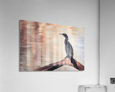 Neotropic Cormorant On Tree Branch Acrylic Print