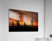 Az Cactus  Sunset Acrylic Print