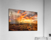 Southwest Sunset Acrylic Print