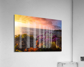 Flower Sunset Acrylic Print