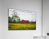 Red Barn in a Field of Yellow Flowers Acrylic Print