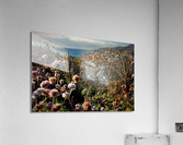 Painters Point Soberanes Point Trails Carmel by the Sea CA Spiderweb Acrylic Print
