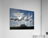 SunBird Acrylic Print