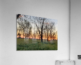 Sunset with Trees Acrylic Print