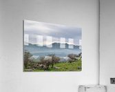 Above the Fog Acrylic Print
