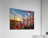 Bloom Acrylic Print