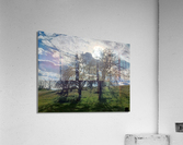 Foothills and Trees Acrylic Print