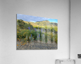 Foothill Spring Acrylic Print