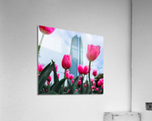 Downtown Spring Time Acrylic Print