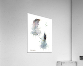 Gray feathers  Acrylic Print