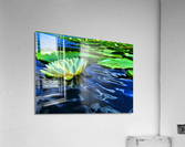 Summer Meditation Acrylic Print