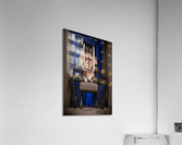 Caelyx - Intensity - Ltd Edition  Acrylic Print