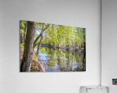 A Southern River Scene in Southeastern North Carolina Acrylic Print