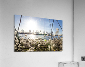 Elbe River in Hamburg  Acrylic Print