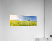 Flower Meadow with Lonely Tree Acrylic Print