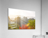 Autumn  Acrylic Print