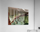 Chameleon Acrylic Print