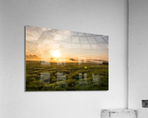 Sunrise in the Country Acrylic Print