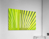 Leaf  Acrylic Print