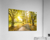 Autumn Road  Acrylic Print
