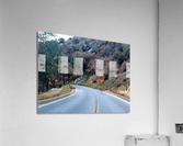 Deer 1 Acrylic Print