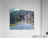 Deer 2 Acrylic Print