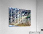Deer 3 Acrylic Print