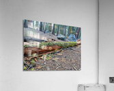 Moss Acrylic Print