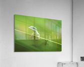 Anole Acrylic Print