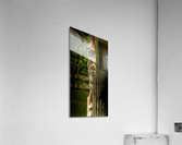 I ll be Watching You Acrylic Print