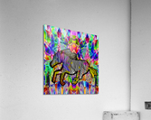 FLYING ZEBRA Acrylic Print