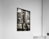 I ll Remember You b  Acrylic Print