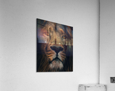 Lion King  Acrylic Print